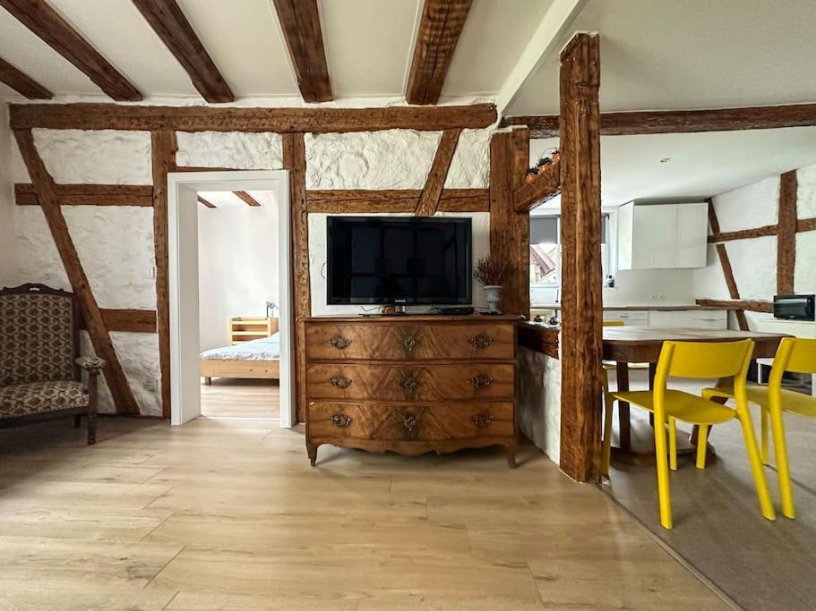 Nouvel Appartement, Le Colombage Heureux Selestat Ngoại thất bức ảnh