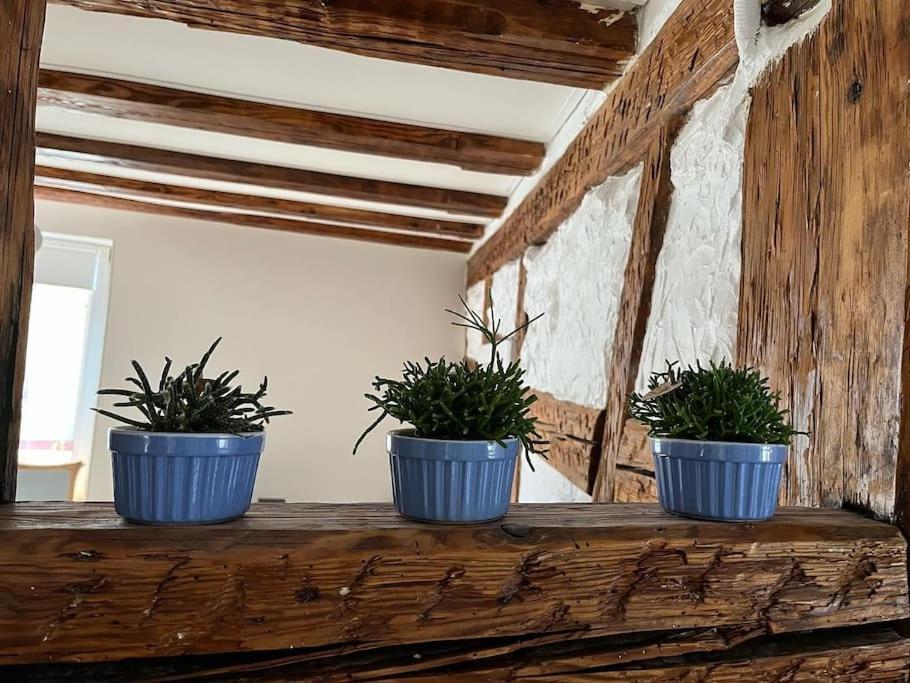 Nouvel Appartement, Le Colombage Heureux Selestat Ngoại thất bức ảnh