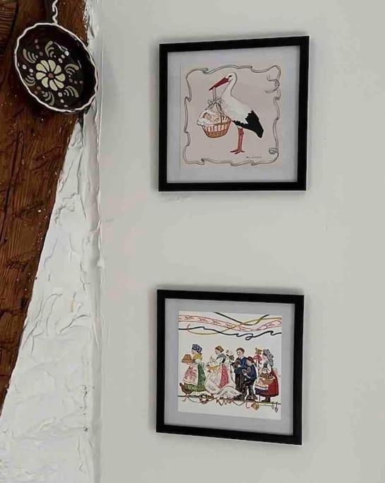 Nouvel Appartement, Le Colombage Heureux Selestat Ngoại thất bức ảnh