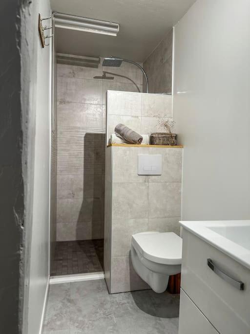 Nouvel Appartement, Le Colombage Heureux Selestat Ngoại thất bức ảnh