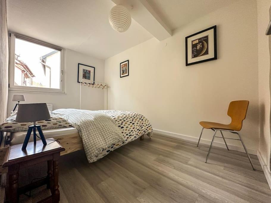 Nouvel Appartement, Le Colombage Heureux Selestat Ngoại thất bức ảnh