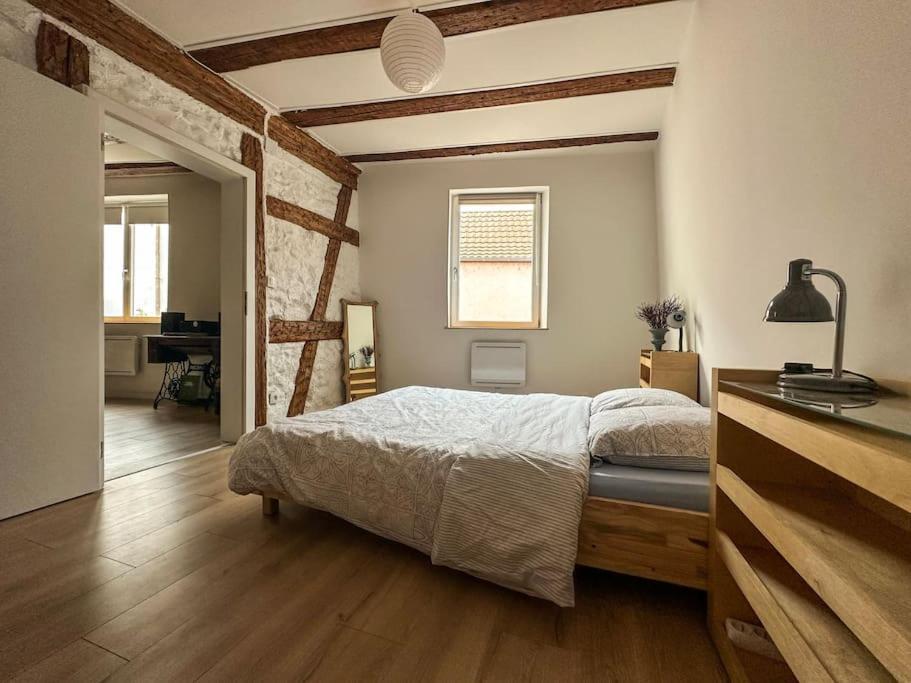 Nouvel Appartement, Le Colombage Heureux Selestat Ngoại thất bức ảnh